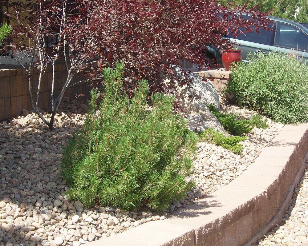 A garden with rocks and trees and a brick wall