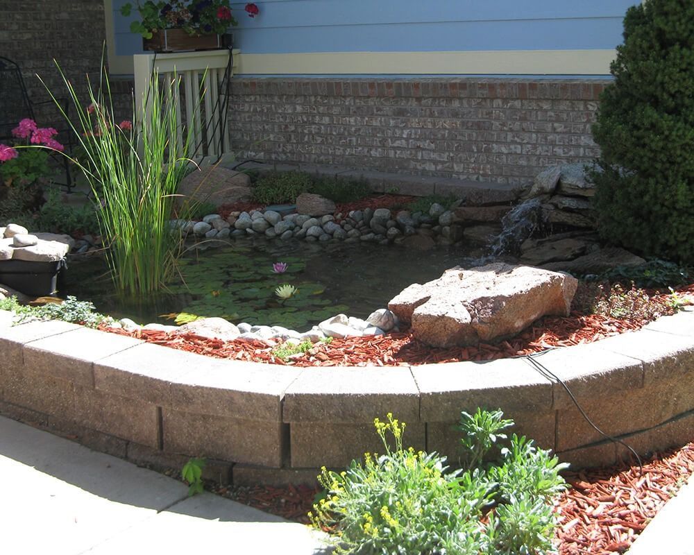 A pond with water lilies and rocks in front of a house