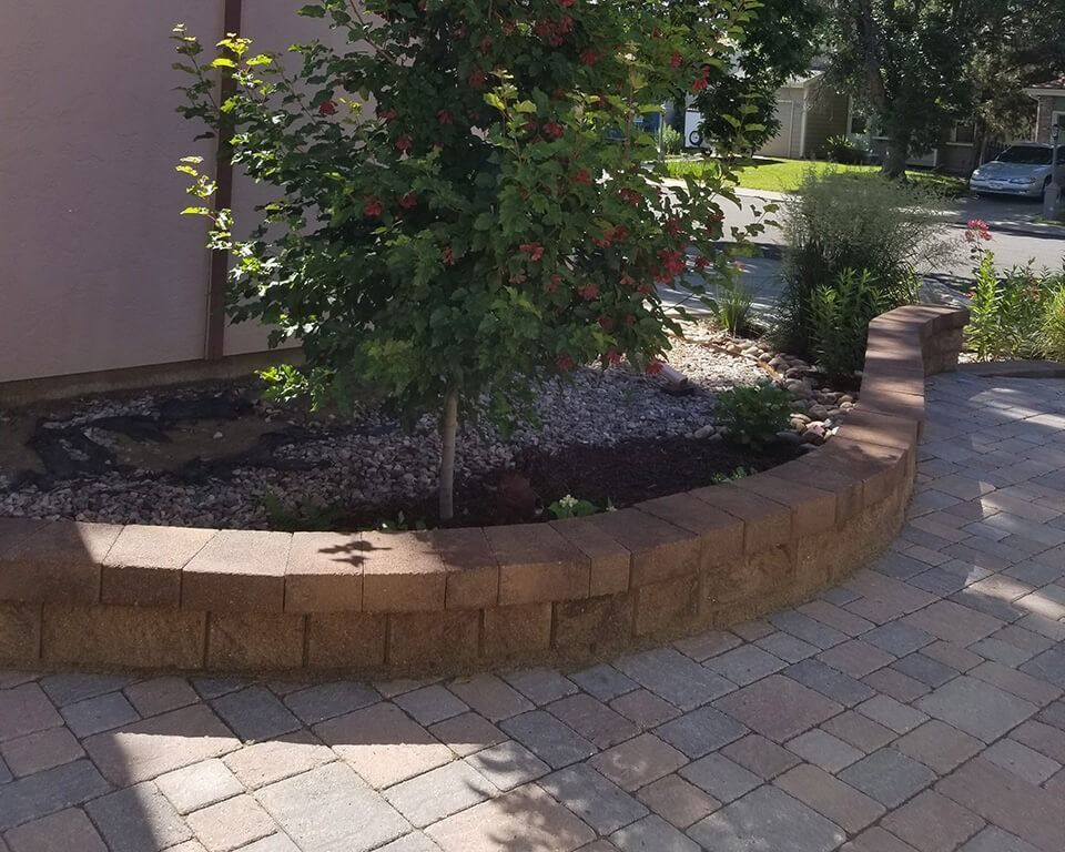 A brick walkway with a tree in the middle of it