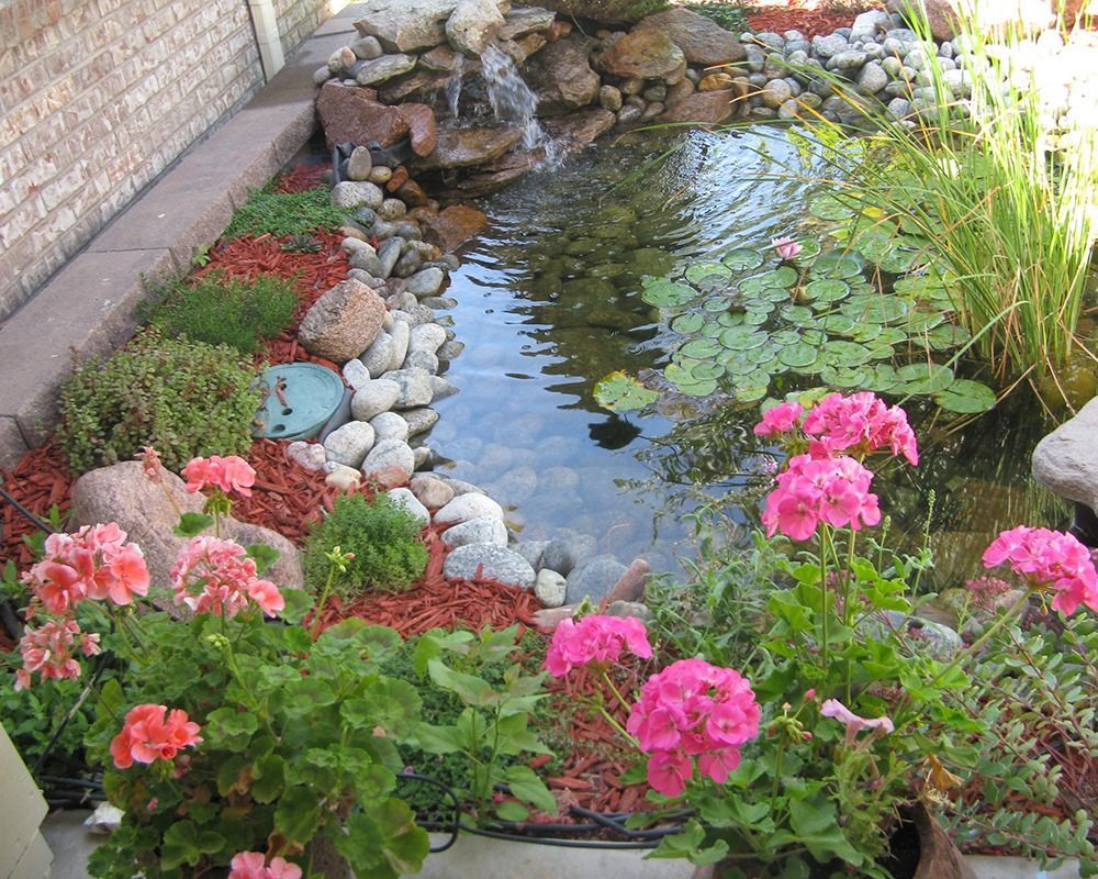 A pond surrounded by pink flowers and rocks