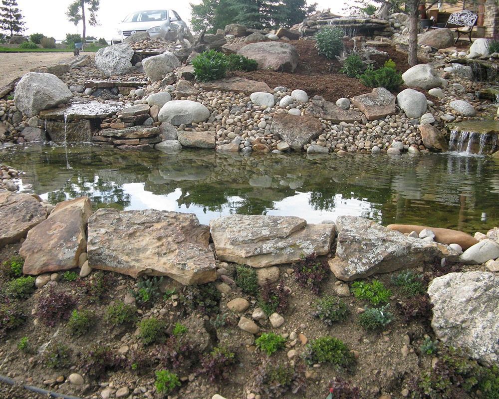 A pond surrounded by rocks and plants with a waterfall in the background