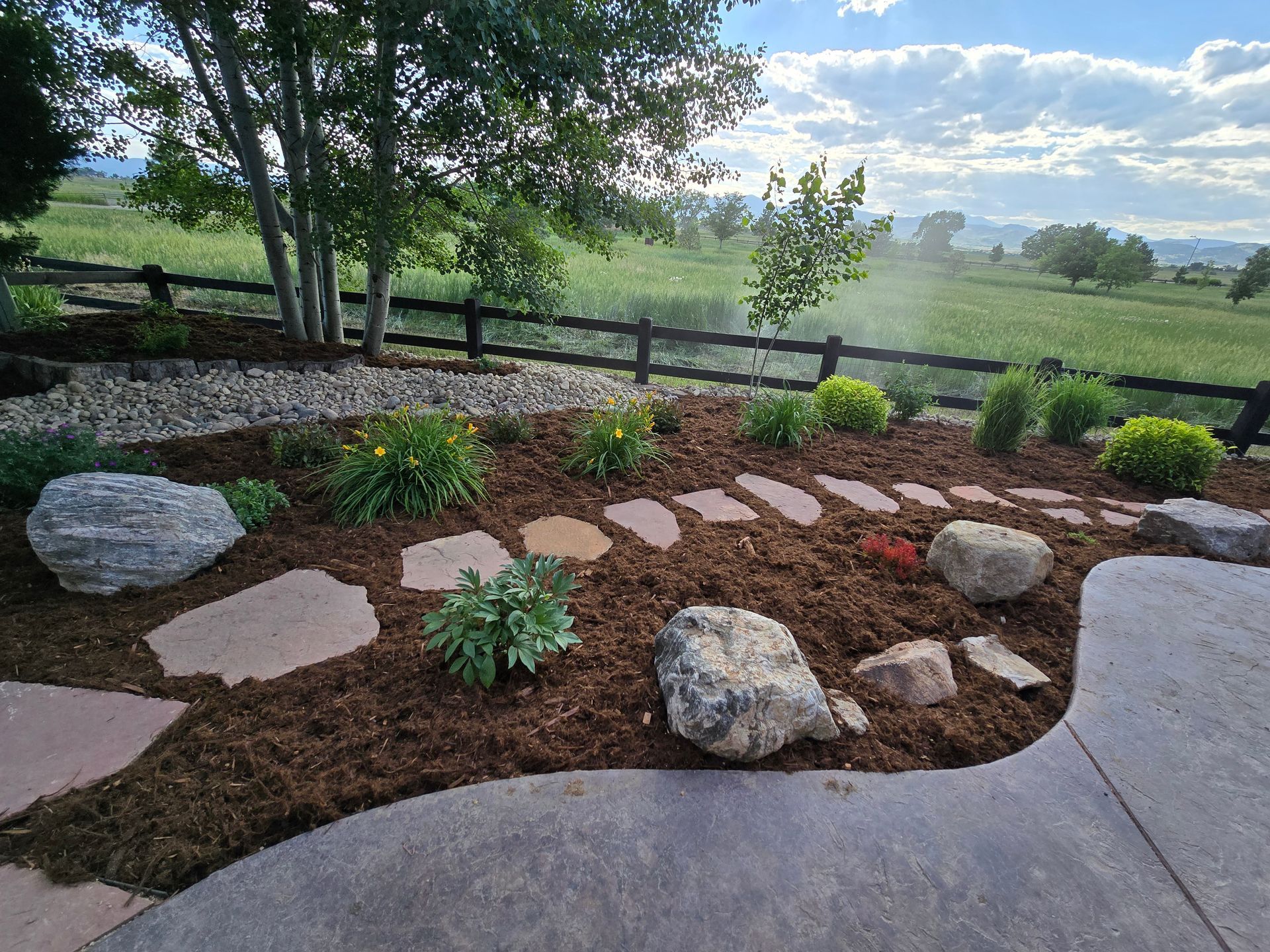 A garden with rocks , plants and a fence in the background.