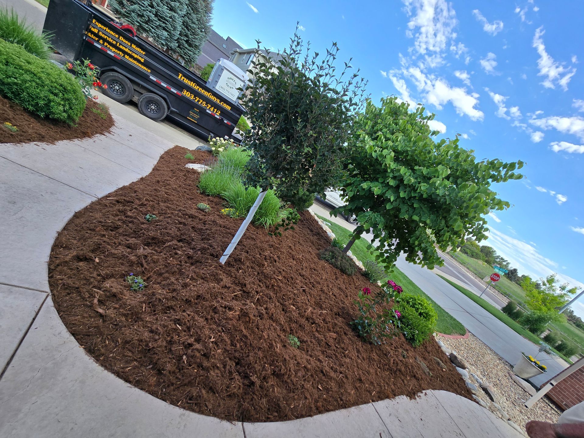 A truck is parked on the side of the road next to a tree.
