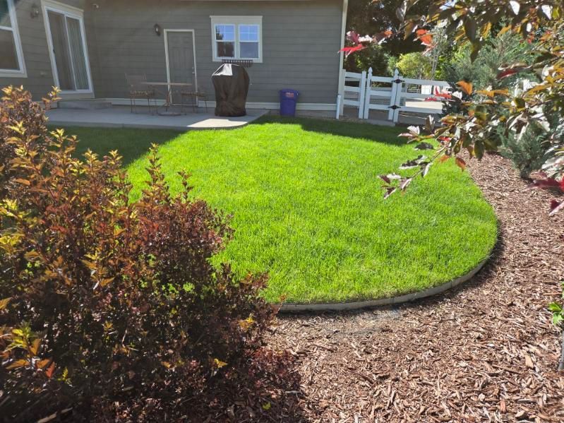 A lush green lawn with a fence in the background and a house in the background.