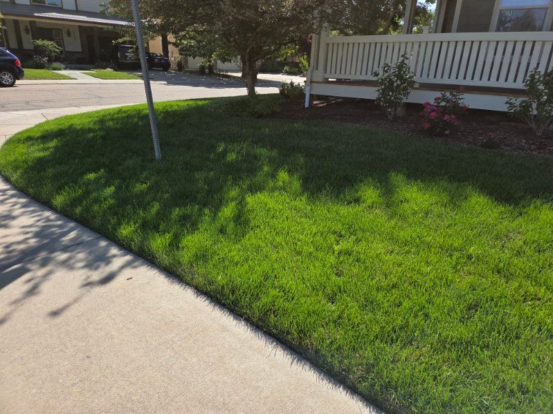 A lush green lawn in front of a house with a white porch.