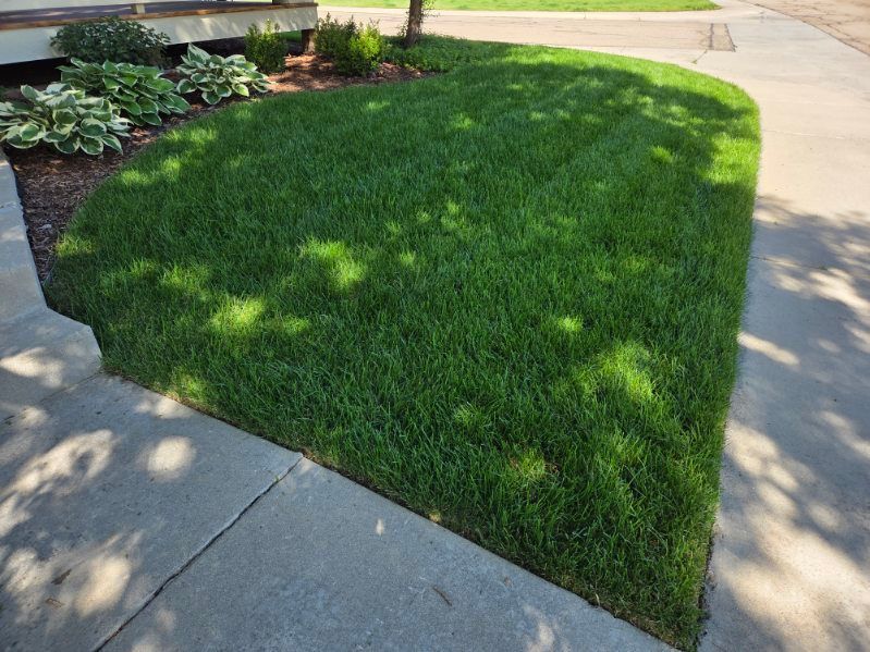 A lush green lawn with a sidewalk in the background