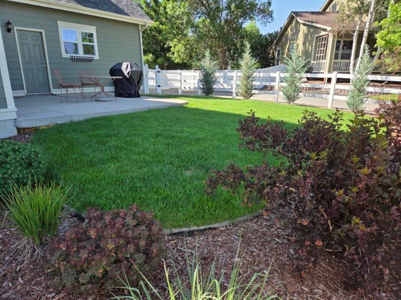 A lush green lawn in front of a house with a grill.