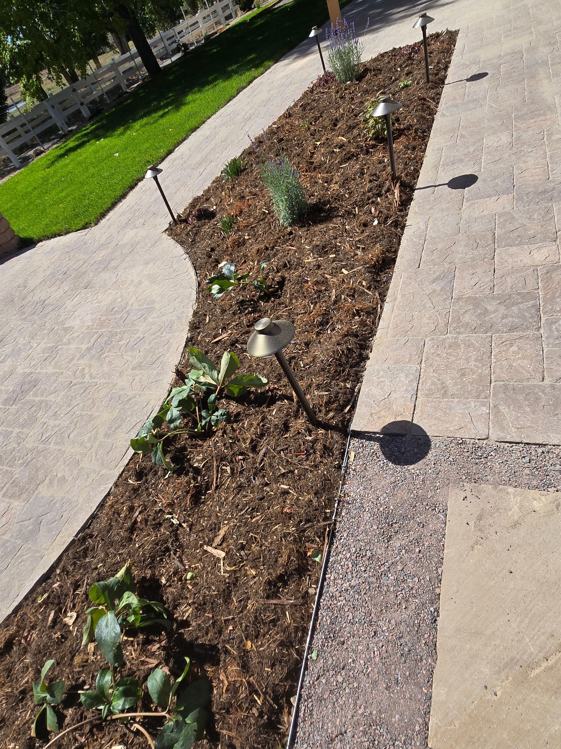 A row of lights are sitting in a garden next to a sidewalk