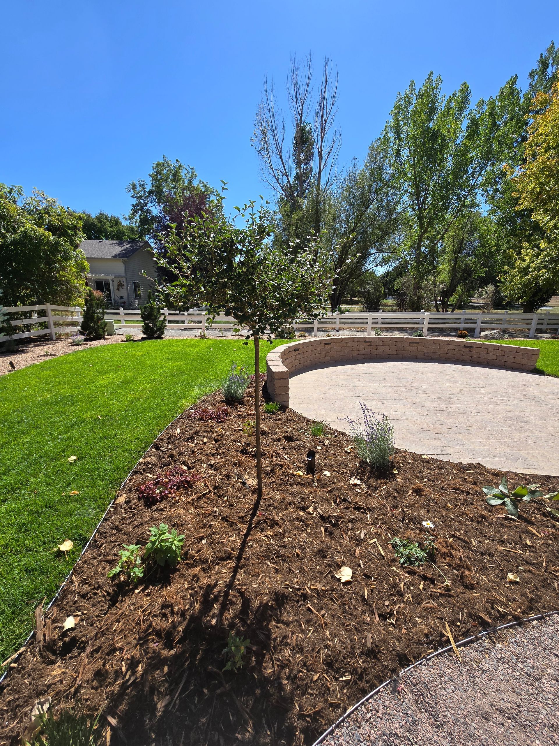 There is a tree in the middle of the garden