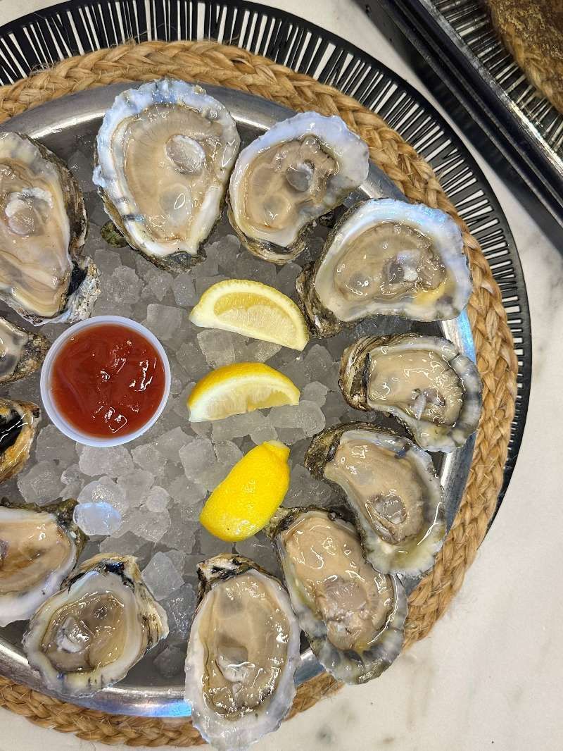 A plate of oysters on ice with lemon slices and ketchup.