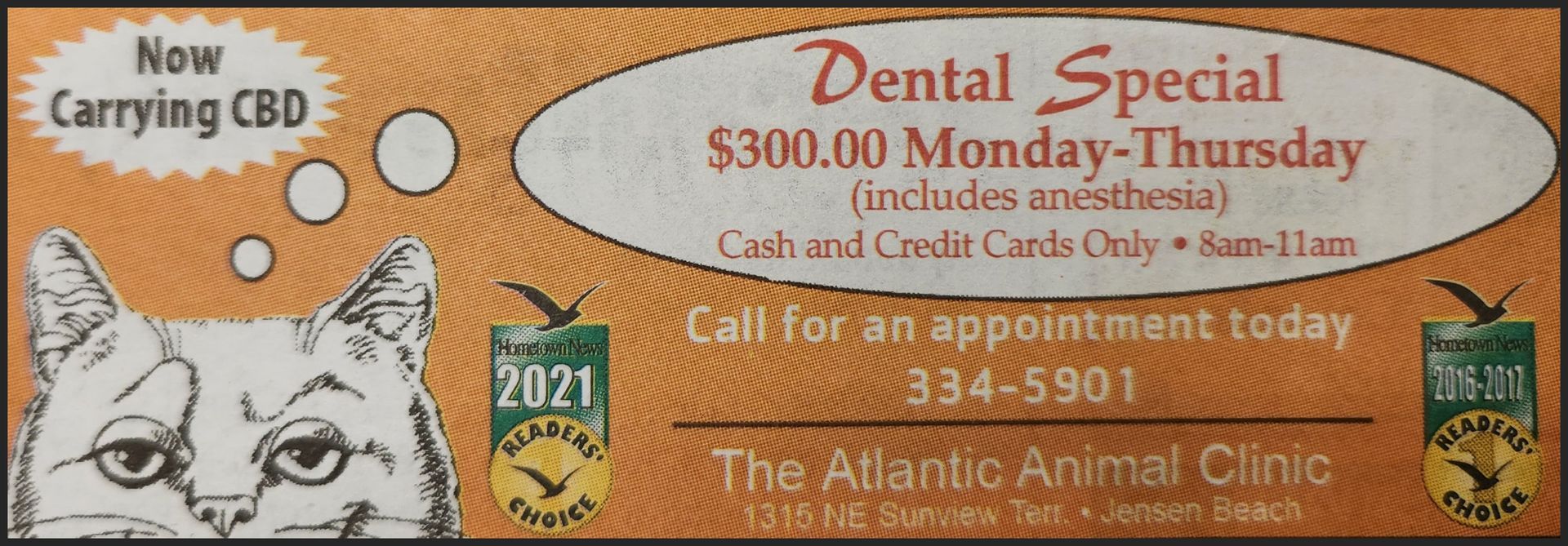 $300 Dental Special
