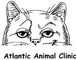 Atlantic Animal Clinic - Logo