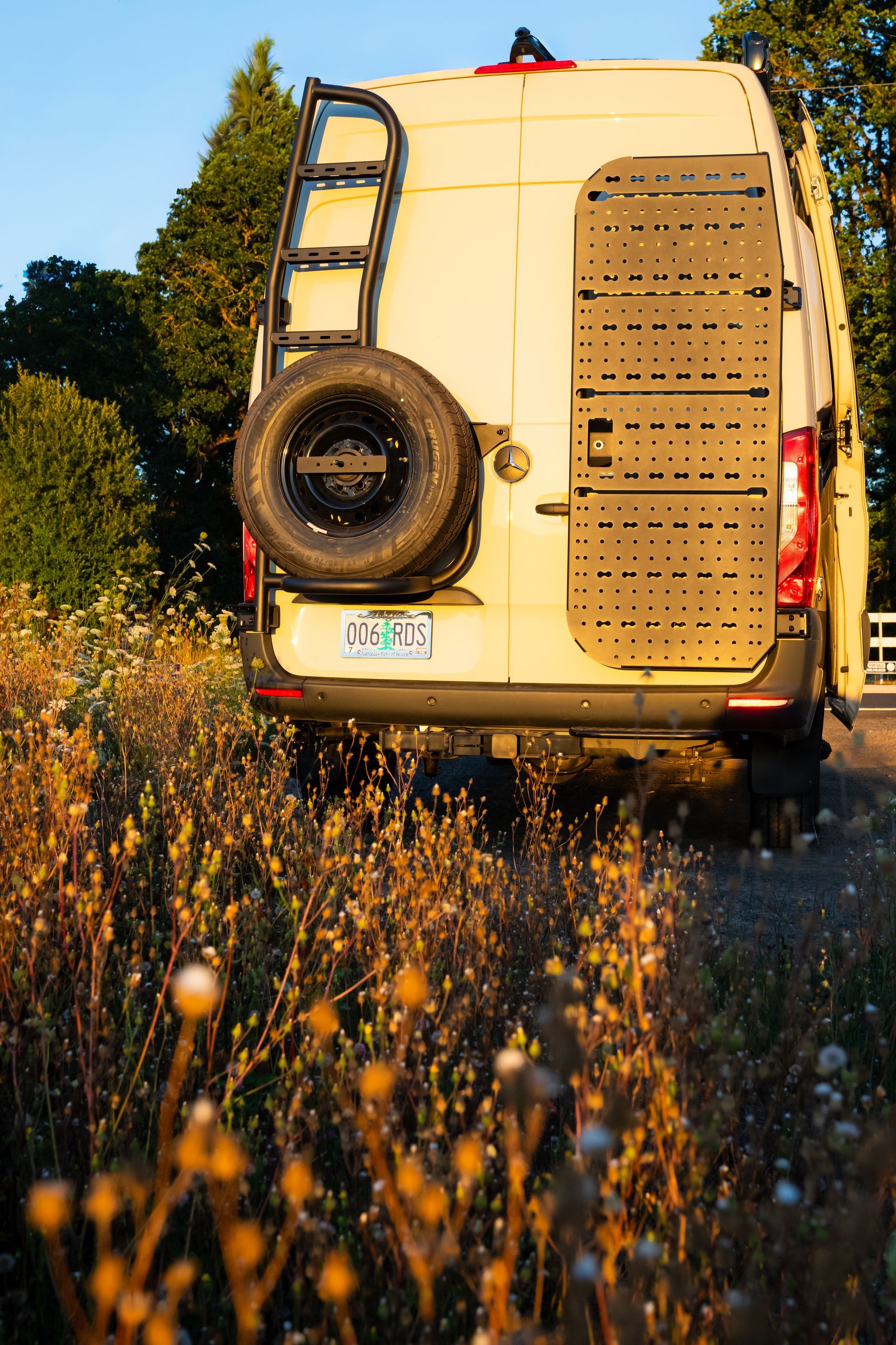 White van parked in a grassy field at sunset, rear view with spare tire and ladder on the back.