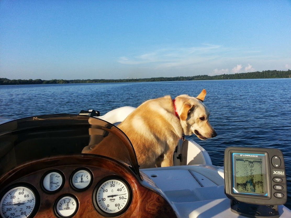Lake Menomin outboard repair