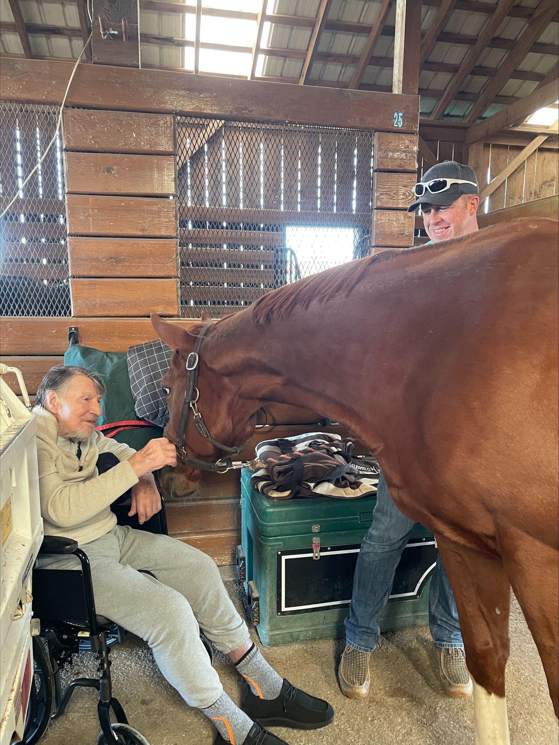 Man in wheelchair petting a brown horse in a barn. Another man stands nearby.