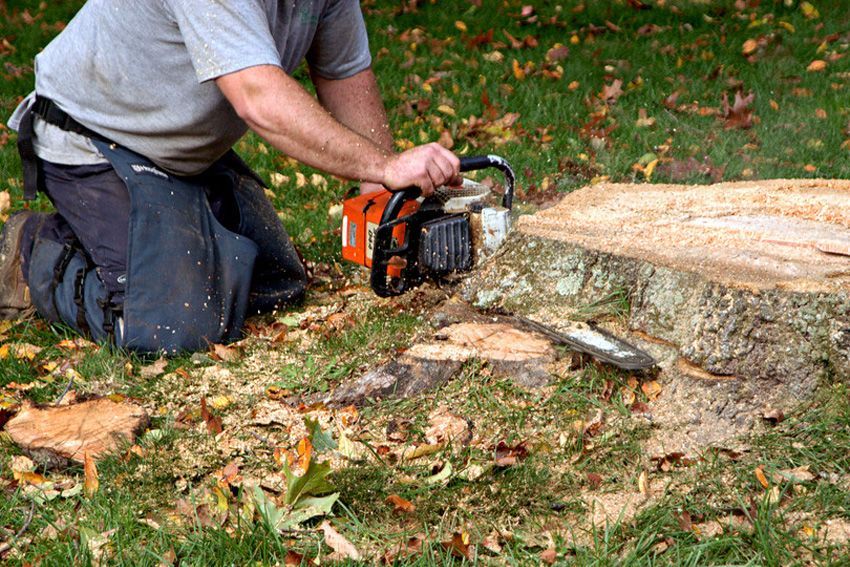 Stump Removal