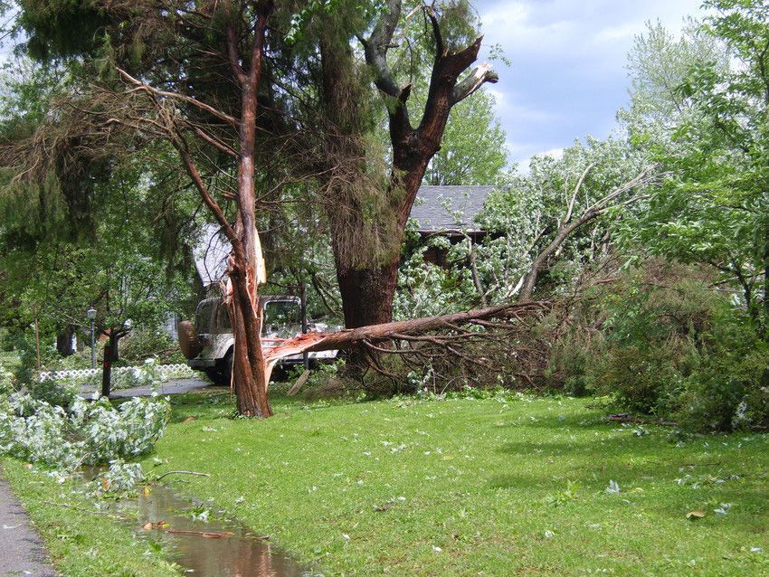Storm Damage