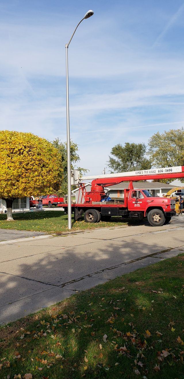 Tree Service