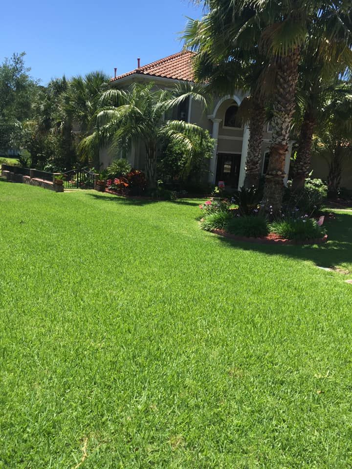 Green lawn in front of a house with a red tile roof and palm trees, sunny day.