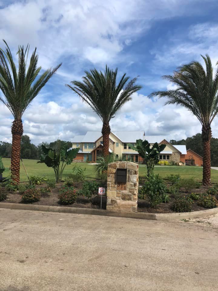 Three palm trees frame a stone mailbox and a light-colored house under a blue sky with clouds.