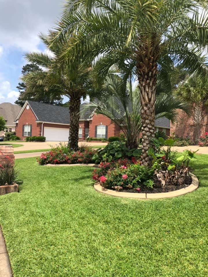 Palm trees with flowerbeds in front of a brick house on a sunny day. Lush green lawn surrounds.