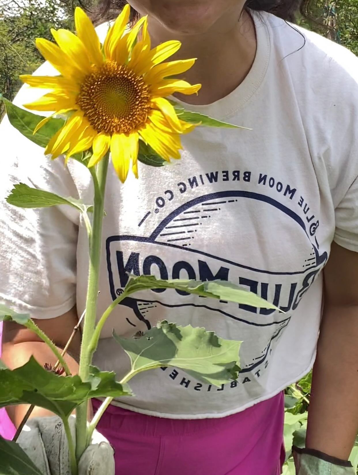 Person holding a sunflower; wearing a white t-shirt, pink pants, and working gloves in a garden.
