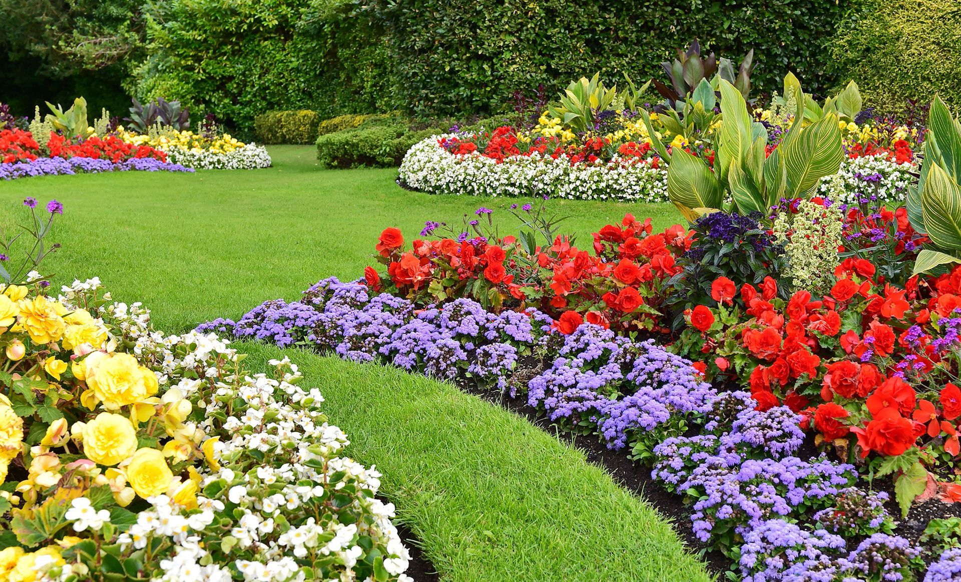 Lush garden with vibrant red, purple, yellow and white flowers bordering a green lawn.