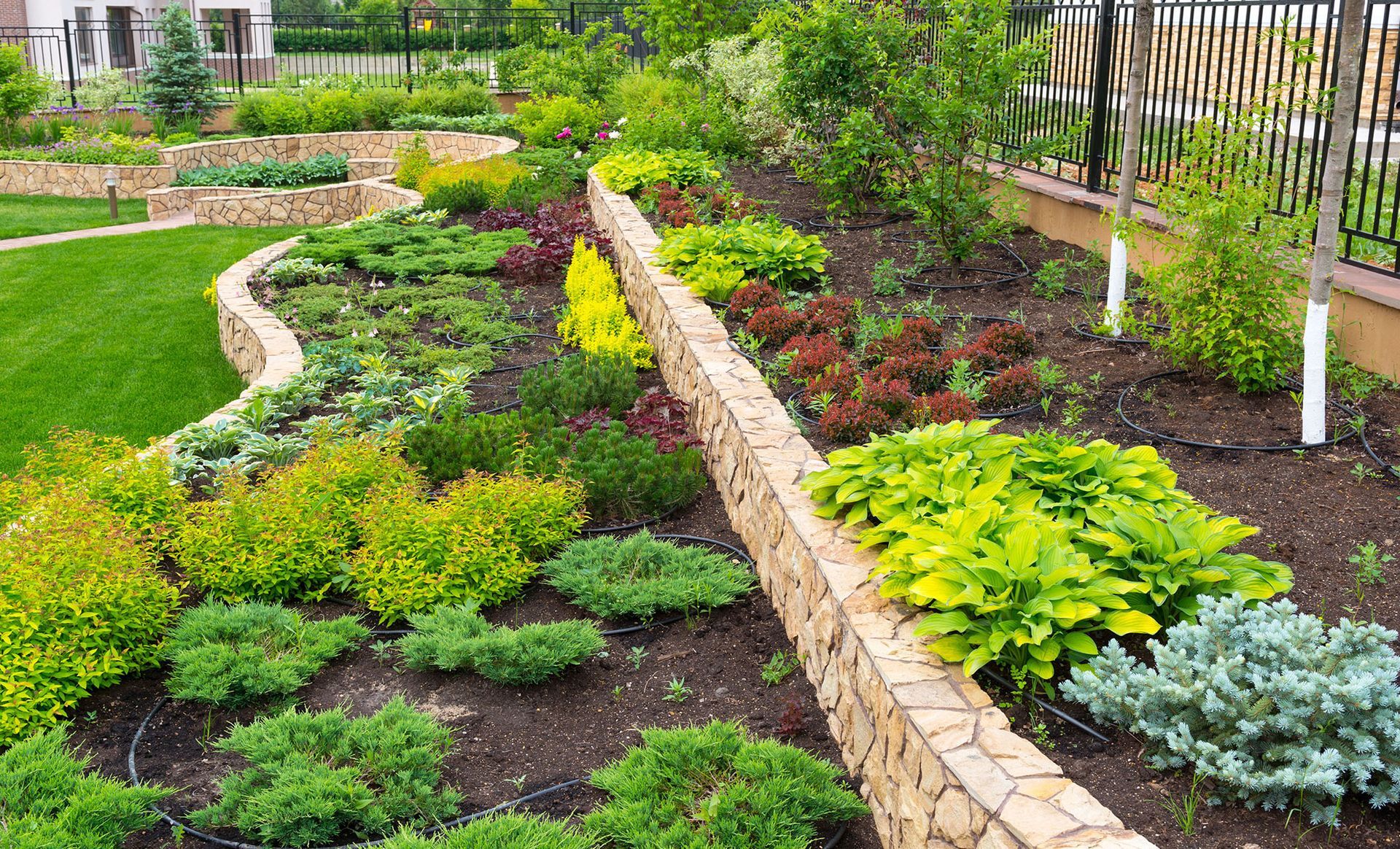 Tropical Gardens Nursery & Landscaping