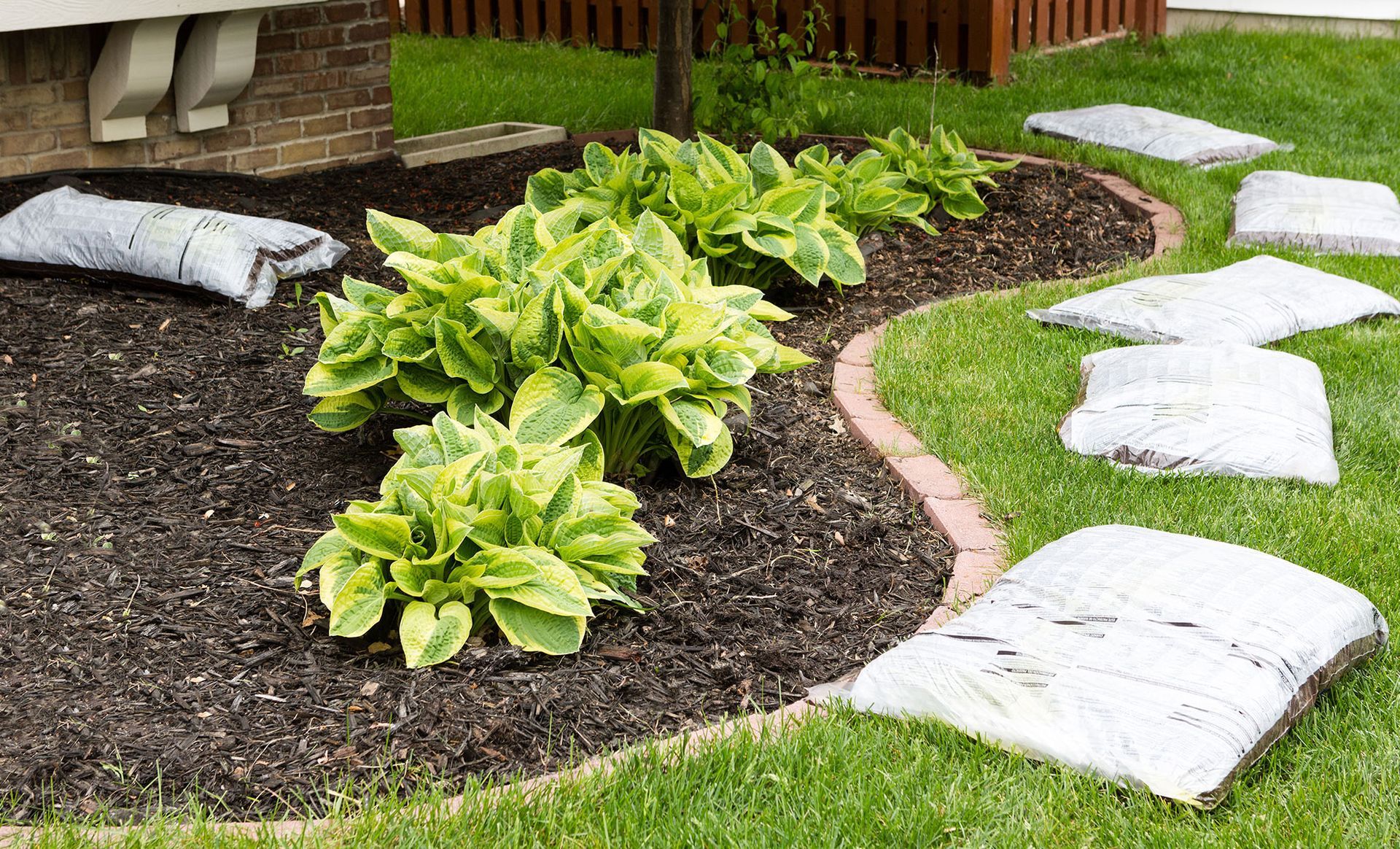 A garden bed with green plants, dark mulch, and stepping stones. Bordered by red brick on a green lawn.