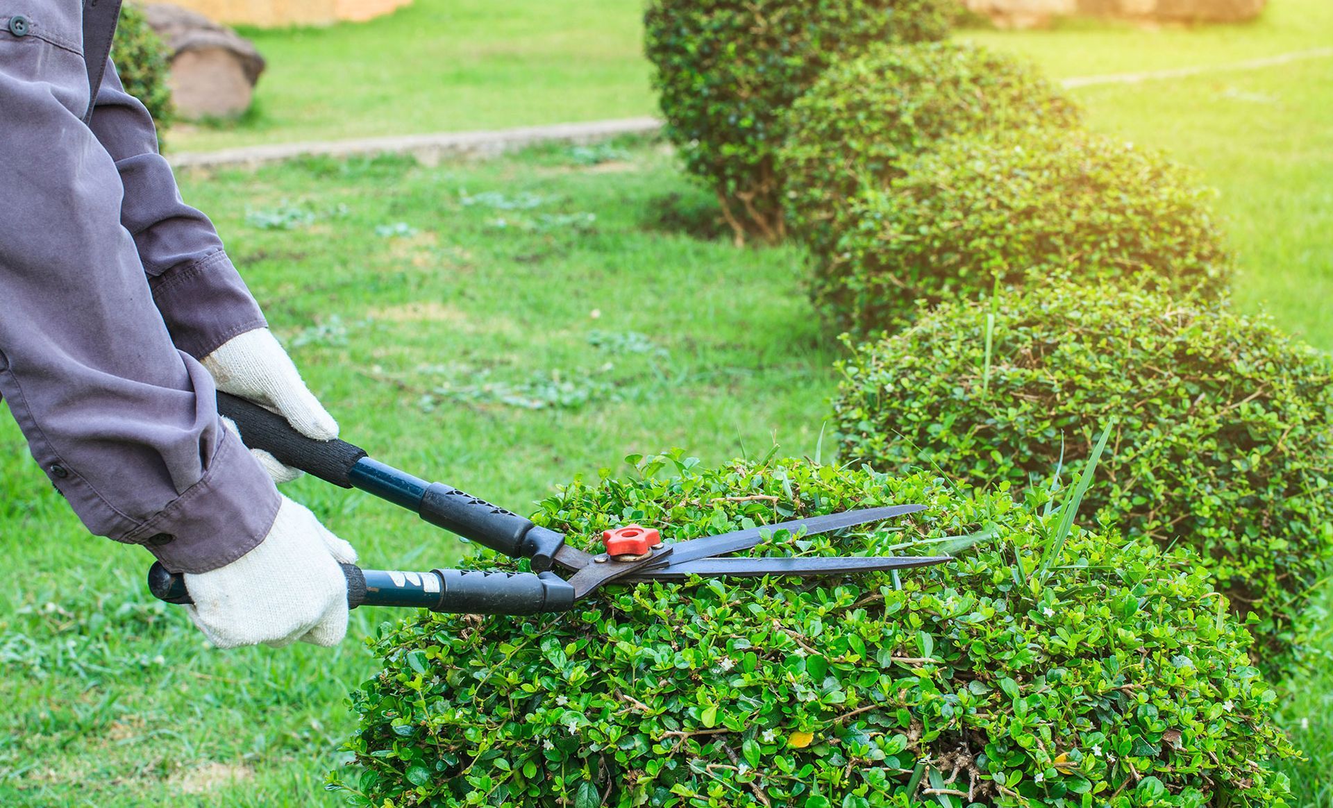 Tropical Gardens Nursery & Landscaping