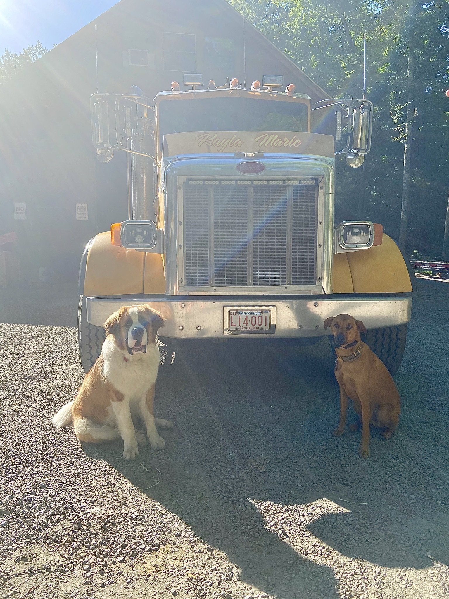 Septic System Services