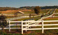 Farm fence