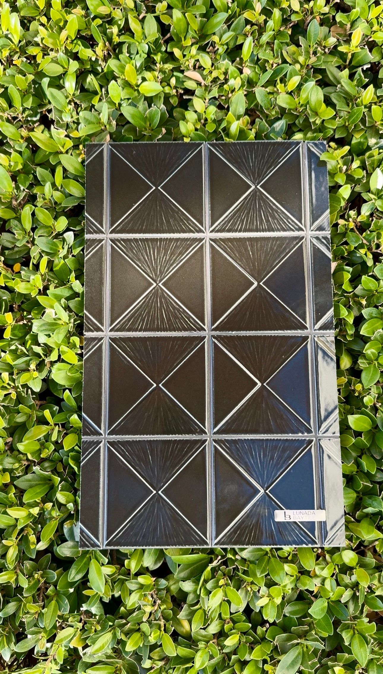 Black rectangular board with a white geometric grid, lying on green grass.