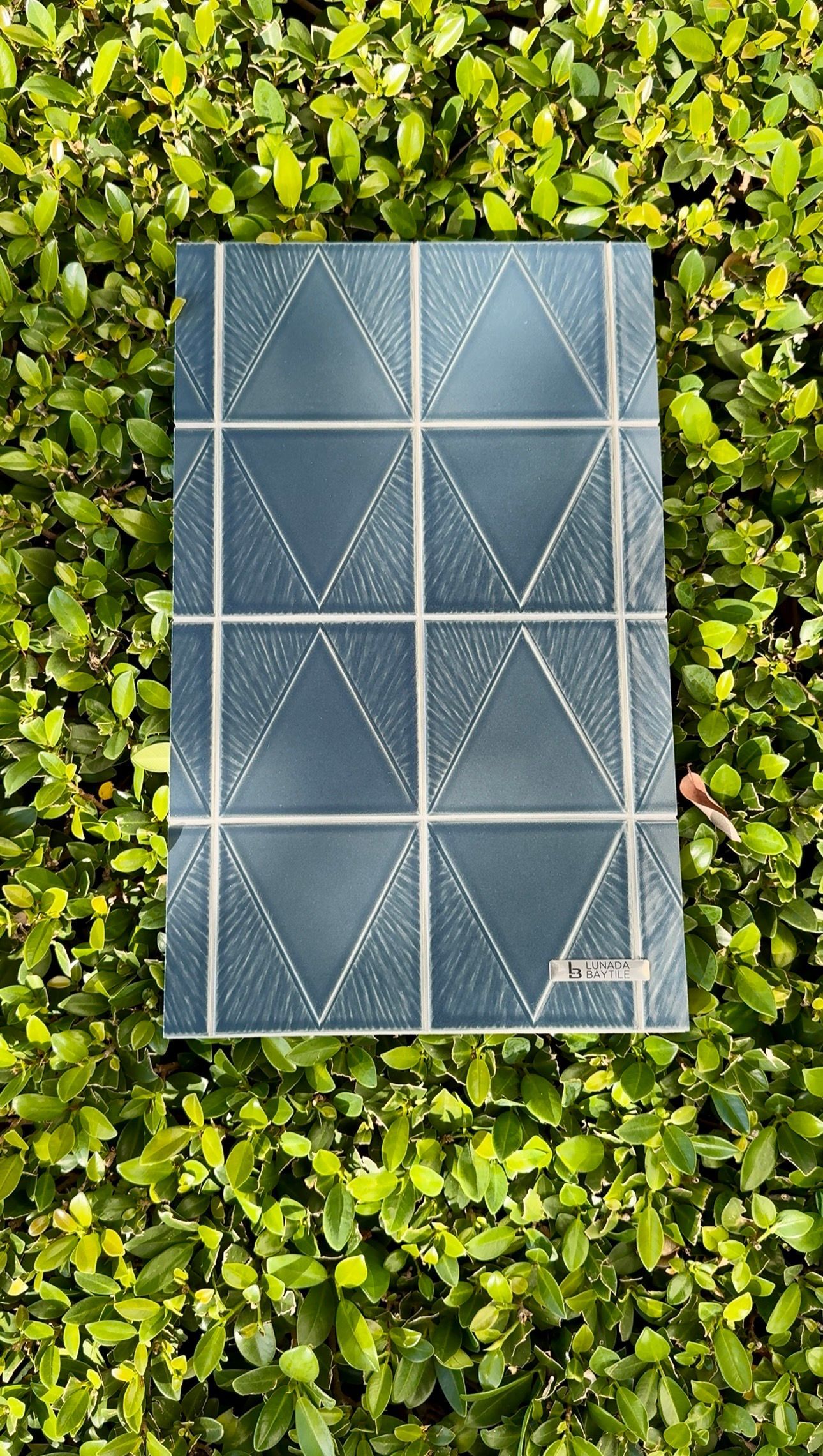 A blue solar panel lying on green leafy groundcover.
