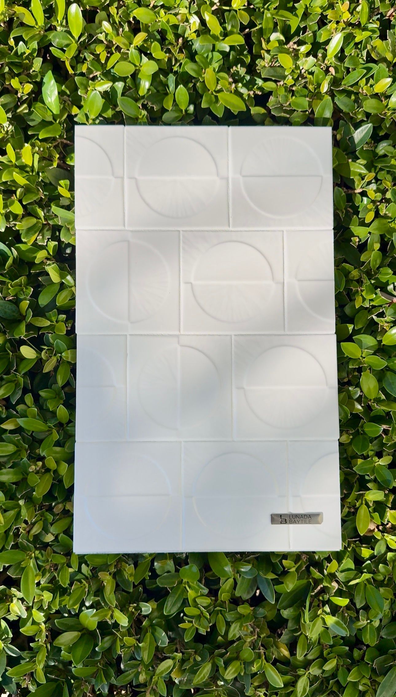 White poster with faint geometric line art against a green leafy hedge background