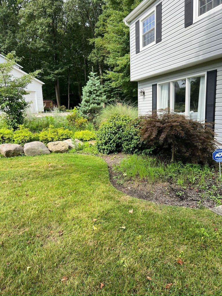 A house with gray siding and black shutters, surrounded by a lawn, garden, and trees. - Before