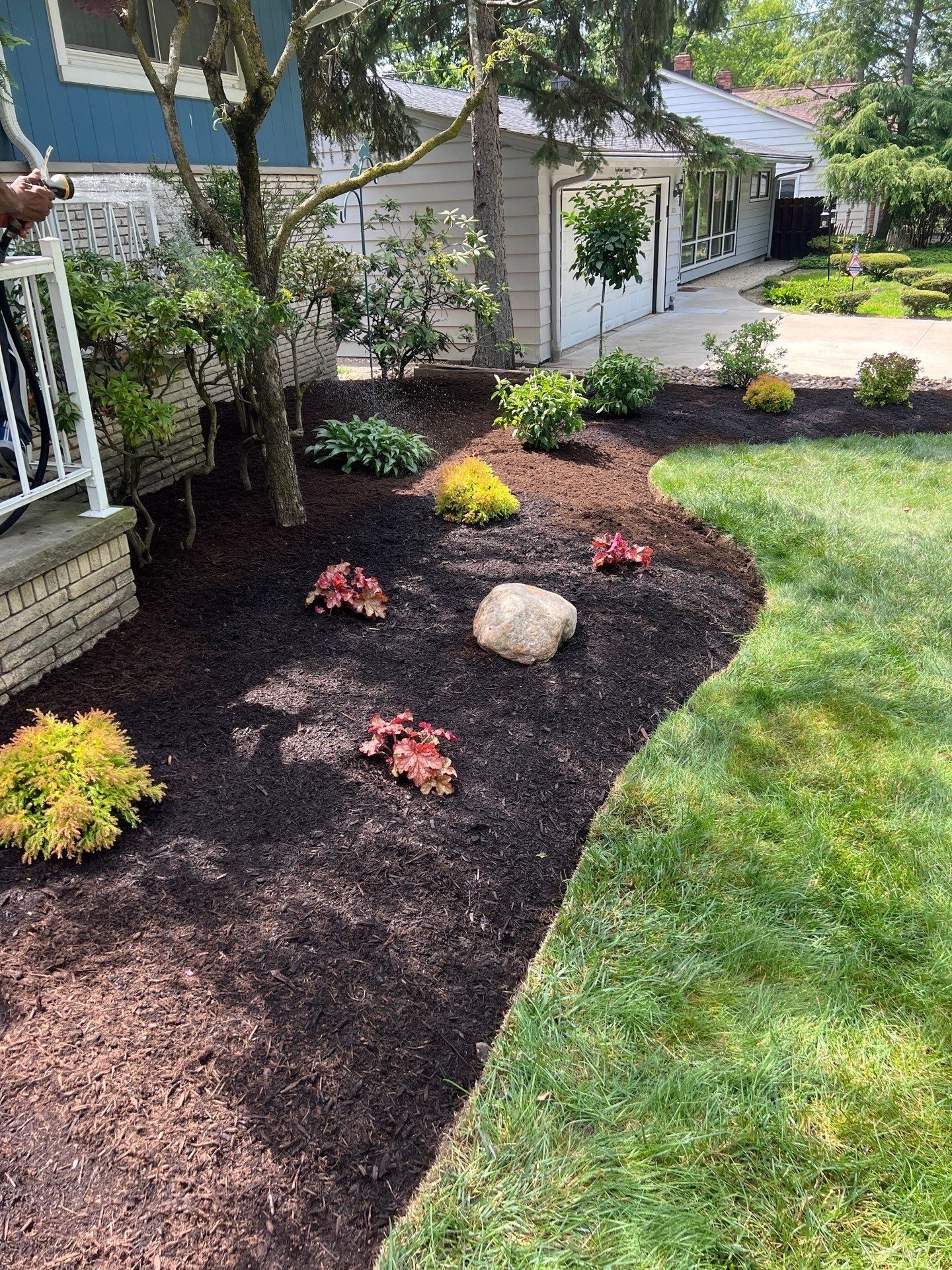 Garden bed with mulch, plants, and a large stone, in front of a house with green grass.