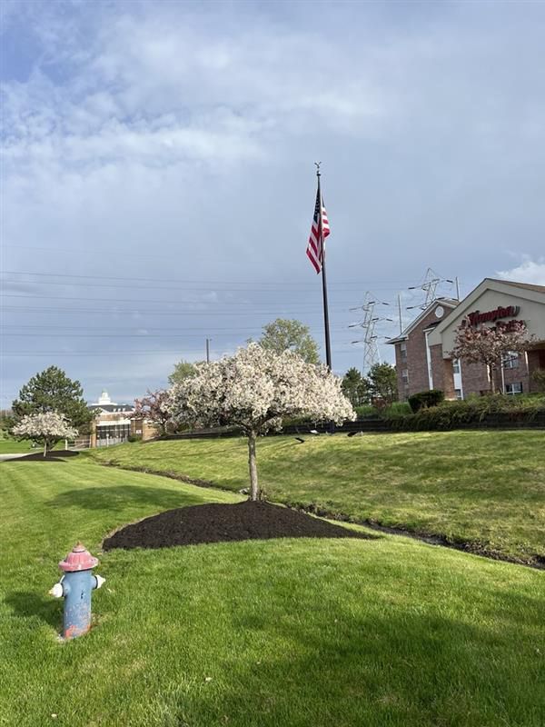 A fire hydrant is in the middle of a lush green field.