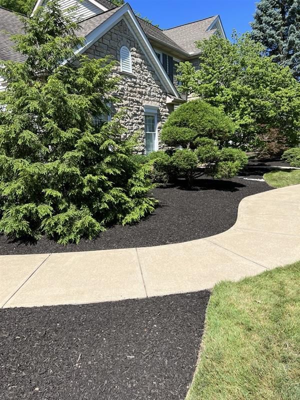 A stone house with a walkway leading to it and trees in front of it.
