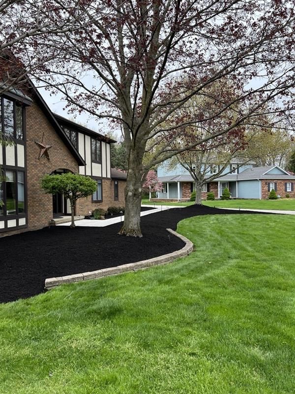 A house with a large lawn and a tree in front of it.