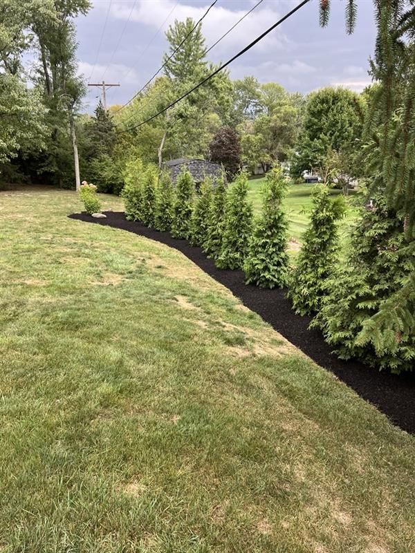 A lush green yard with a row of trees in the middle of it.