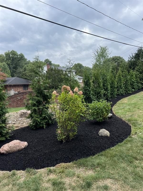 A lush green garden with trees and rocks surrounded by black mulch.