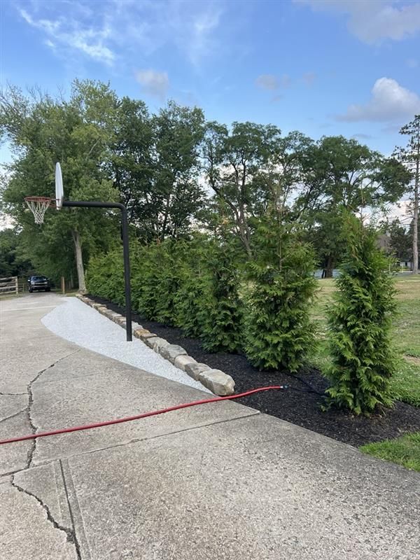 A basketball hoop is in the middle of a driveway surrounded by trees.