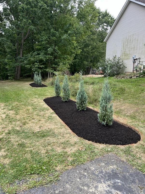 A row of trees are growing in a garden next to a house.