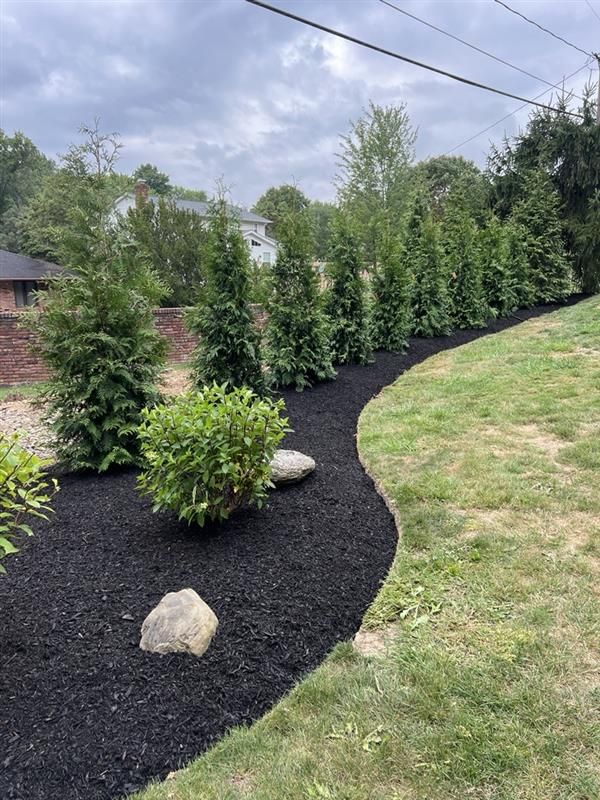 A lush green yard with trees and black mulch.