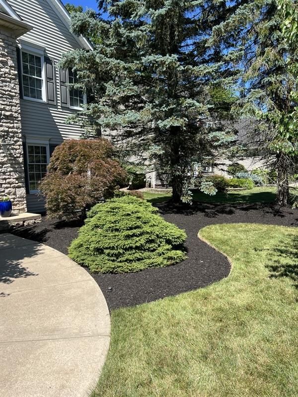 A house with a lush green lawn and trees in front of it.