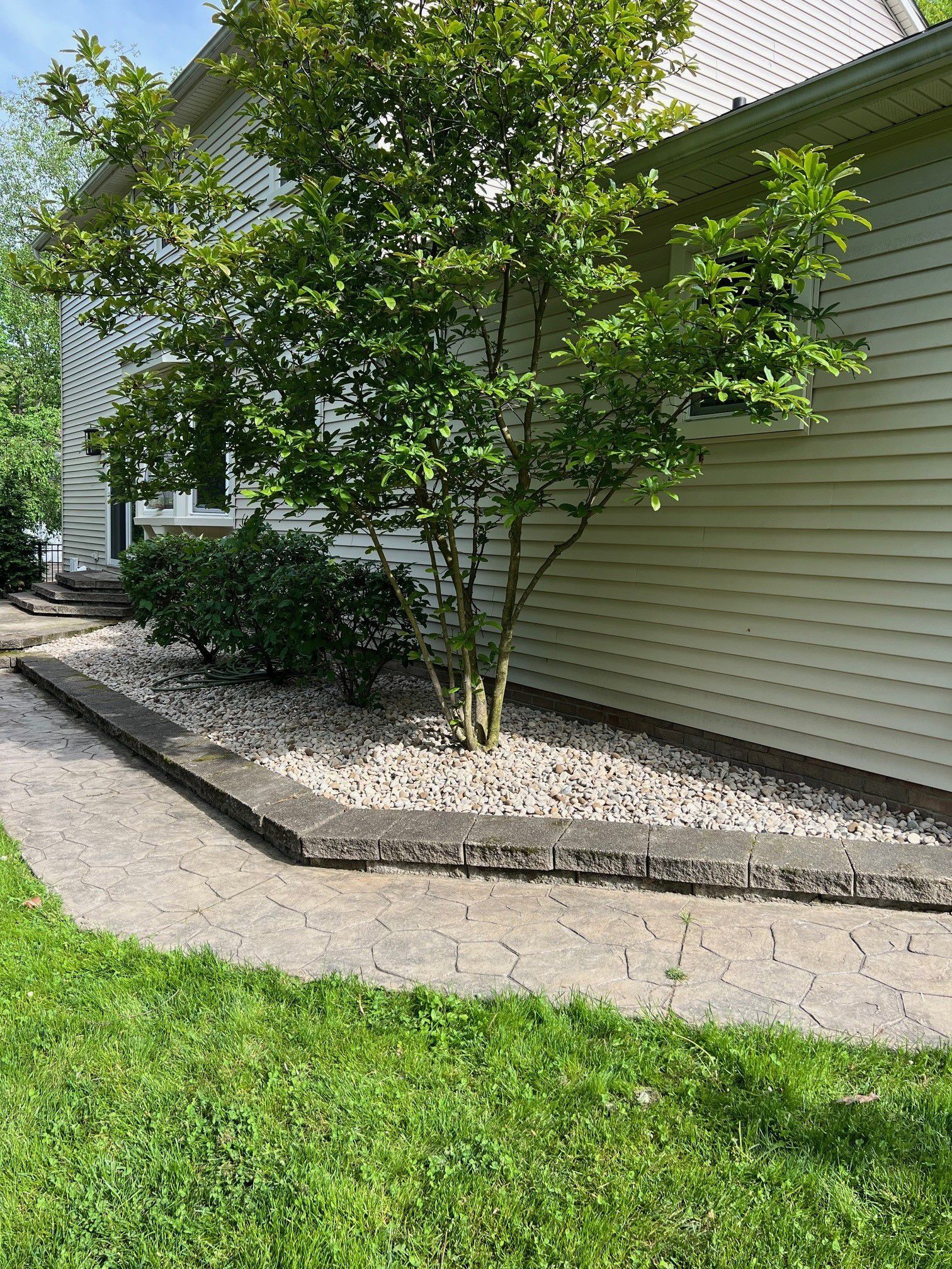 A walkway leading to a house with a tree in front of it.