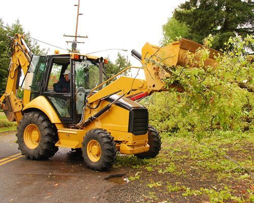 Storm damage clean-up services