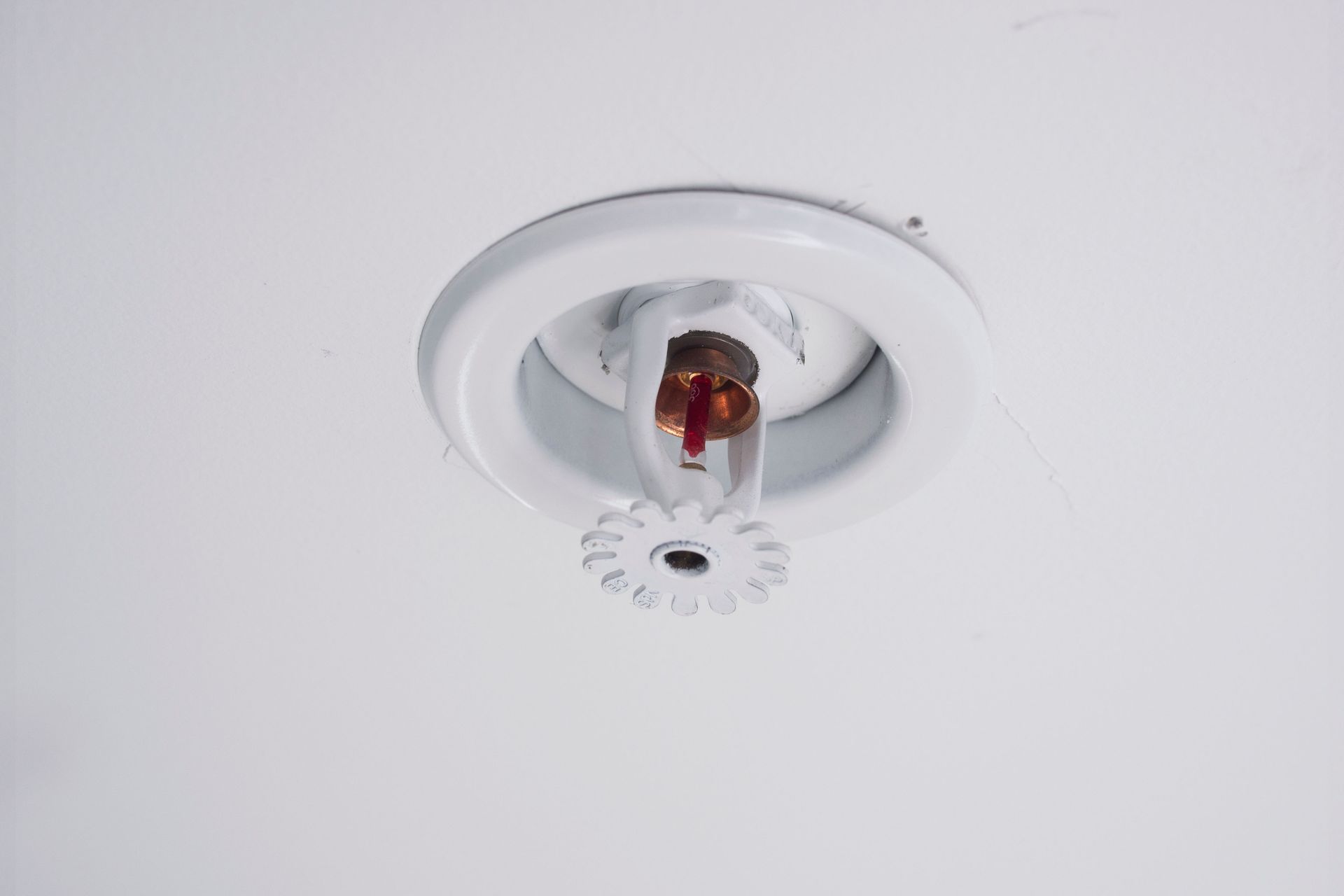 Ceiling fire sprinkler with red bulb and white trim plate against a white ceiling