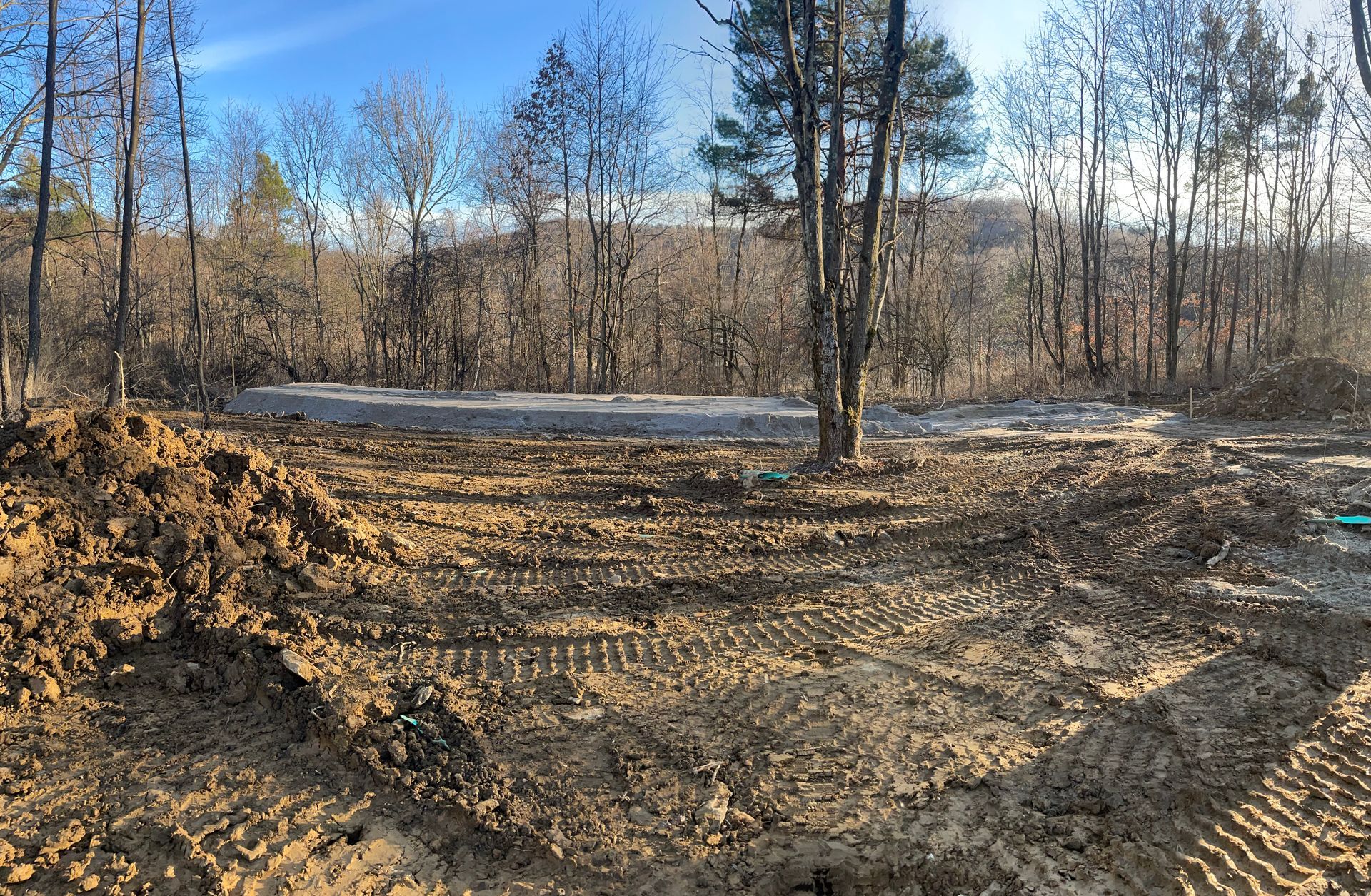 A large pile of dirt is sitting in the middle of a forest.